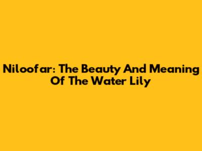 Niloofar: The Beauty And Meaning Of The Water Lily