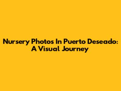 Nursery Photos In Puerto Deseado: A Visual Journey