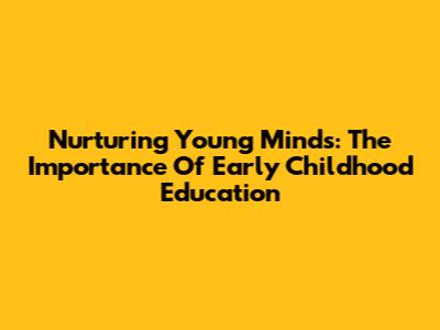 Nurturing Young Minds: The Importance Of Early Childhood Education