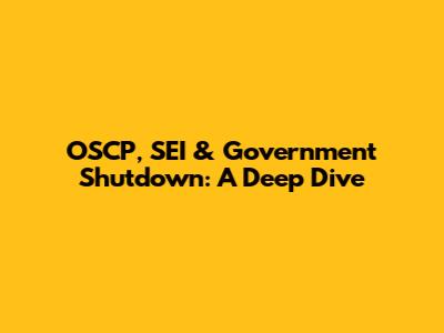 OSCP, SEI & Government Shutdown: A Deep Dive