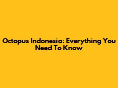 Octopus Indonesia: Everything You Need To Know