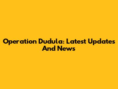 Operation Dudula: Latest Updates And News