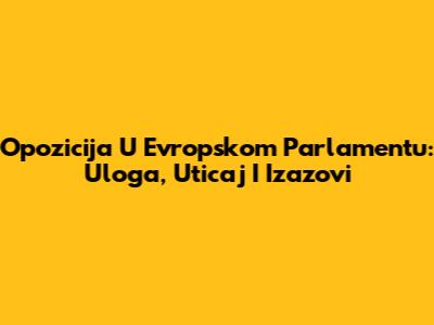 Opozicija U Evropskom Parlamentu: Uloga, Uticaj I Izazovi