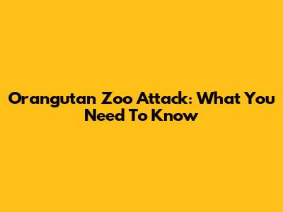 Orangutan Zoo Attack: What You Need To Know