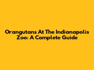 Orangutans At The Indianapolis Zoo: A Complete Guide