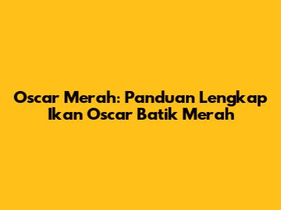 Oscar Merah: Panduan Lengkap Ikan Oscar Batik Merah