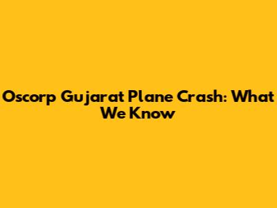 Oscorp Gujarat Plane Crash: What We Know