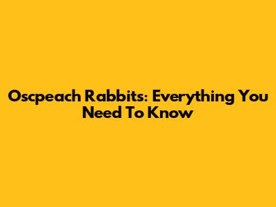 Oscpeach Rabbits: Everything You Need To Know