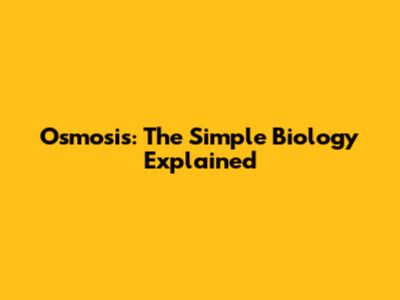 Osmosis: The Simple Biology Explained