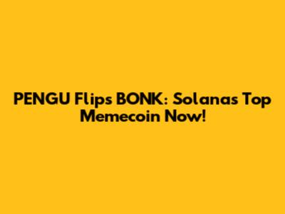 PENGU Flips BONK: Solana's Top Memecoin Now!
