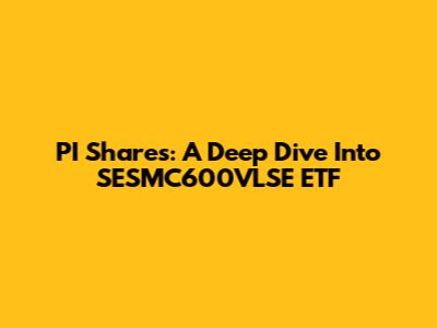 PI Shares: A Deep Dive Into SESMC600VLSE ETF