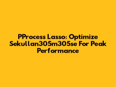 PProcess Lasso: Optimize Sekullan305m305se For Peak Performance