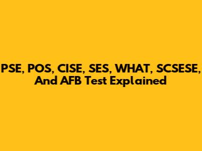 PSE, POS, CISE, SES, WHAT, SCSESE, And AFB Test Explained