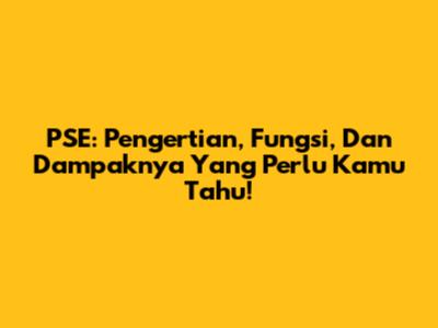 PSE: Pengertian, Fungsi, Dan Dampaknya Yang Perlu Kamu Tahu!