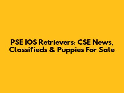 PSE IOS Retrievers: CSE News, Classifieds & Puppies For Sale