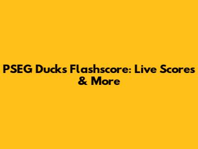 PSEG Ducks Flashscore: Live Scores & More