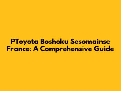PToyota Boshoku Sesomainse France: A Comprehensive Guide