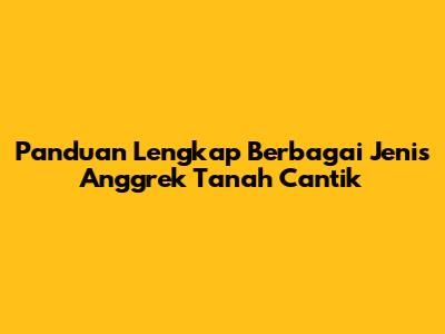Panduan Lengkap Berbagai Jenis Anggrek Tanah Cantik