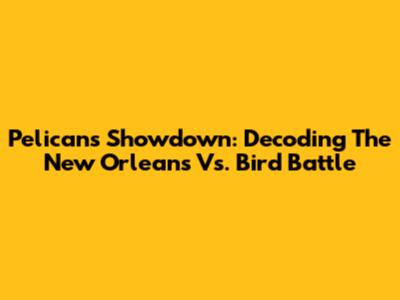 Pelicans Showdown: Decoding The New Orleans Vs. Bird Battle