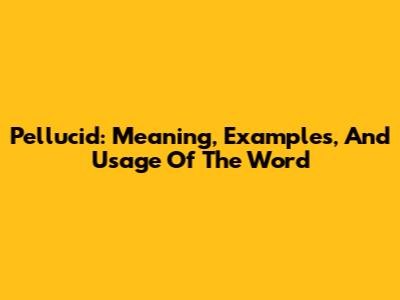 Pellucid: Meaning, Examples, And Usage Of The Word