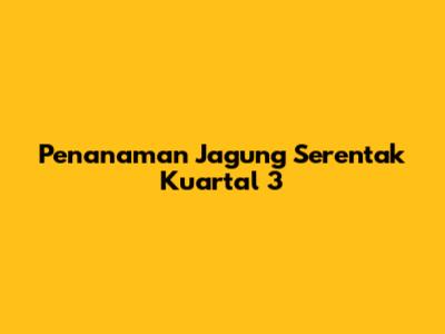 Penanaman Jagung Serentak Kuartal 3