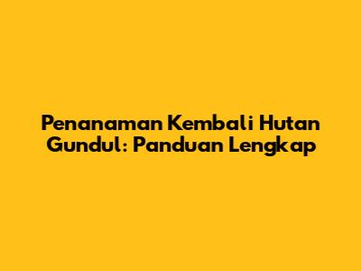 Penanaman Kembali Hutan Gundul: Panduan Lengkap