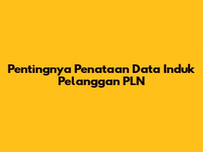 Pentingnya Penataan Data Induk Pelanggan PLN