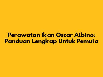 Perawatan Ikan Oscar Albino: Panduan Lengkap Untuk Pemula
