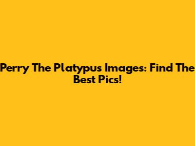 Perry The Platypus Images: Find The Best Pics!