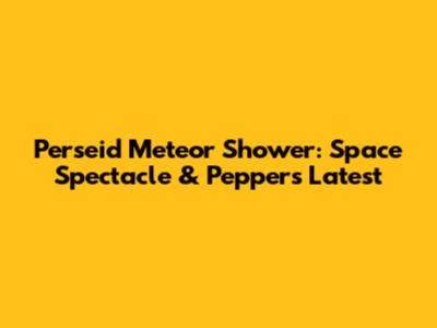Perseid Meteor Shower: Space Spectacle & Pepper's Latest