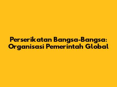 Perserikatan Bangsa-Bangsa: Organisasi Pemerintah Global