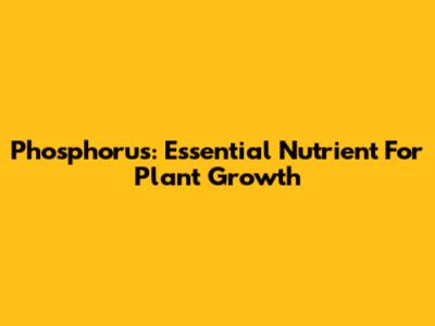 Phosphorus: Essential Nutrient For Plant Growth