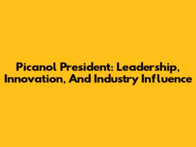 Picanol President: Leadership, Innovation, And Industry Influence