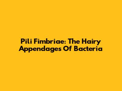 Pili Fimbriae: The Hairy Appendages Of Bacteria