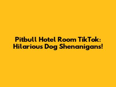 Pitbull Hotel Room TikTok: Hilarious Dog Shenanigans!