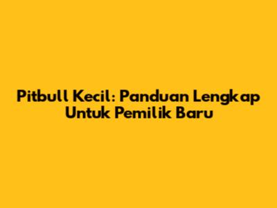 Pitbull Kecil: Panduan Lengkap Untuk Pemilik Baru