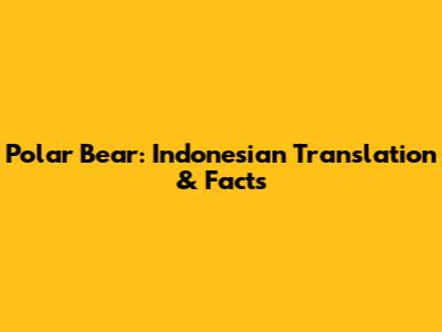 Polar Bear: Indonesian Translation & Facts