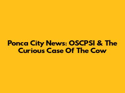Ponca City News: OSCPSI & The Curious Case Of The Cow