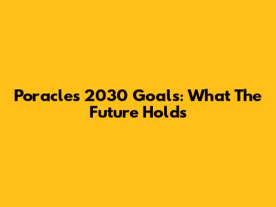 Poracle's 2030 Goals: What The Future Holds