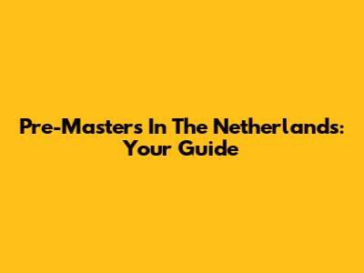 Pre-Masters In The Netherlands: Your Guide