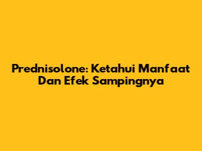 Prednisolone: Ketahui Manfaat Dan Efek Sampingnya