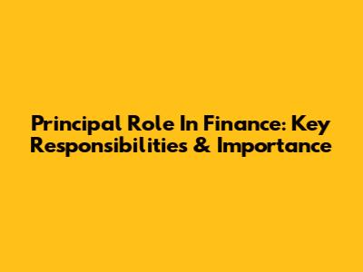 Principal Role In Finance: Key Responsibilities & Importance