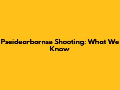 Pseidearbornse Shooting: What We Know