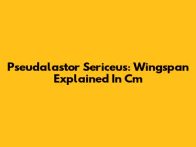 Pseudalastor Sericeus: Wingspan Explained In Cm