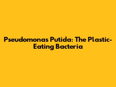 Pseudomonas Putida: The Plastic-Eating Bacteria