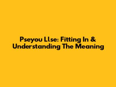 Pseyou Llse: Fitting In & Understanding The Meaning