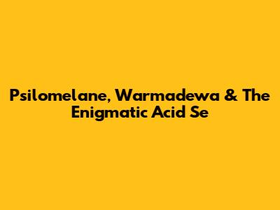 Psilomelane, Warmadewa & The Enigmatic 'Acid Se'