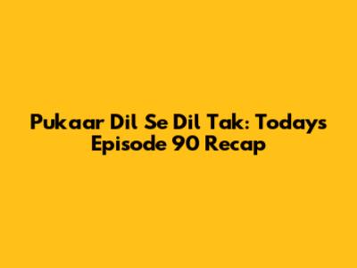 Pukaar Dil Se Dil Tak: Today's Episode 90 Recap
