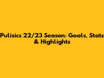 Pulisic's 22/23 Season: Goals, Stats & Highlights