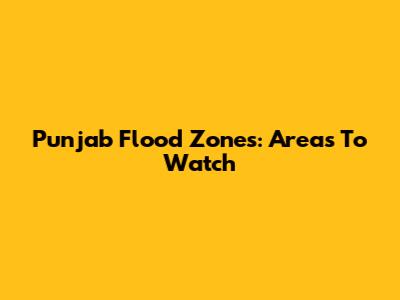 Punjab Flood Zones: Areas To Watch